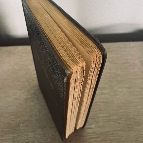 The Peasants Autumn Vintage Antique 1925 Book - Picture 3 of 8